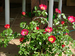 DSC00924 - Copie.JPG