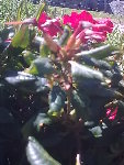 Photo0102.jpg
