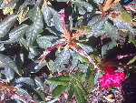 Photo0103.jpg