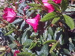 Photo0105.jpg