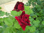 DSCN3284.JPG