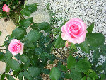 DSCN3285.JPG