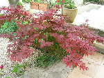 DSCN3287.JPG