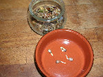 DSCN3288.JPG