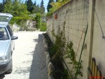 DSC00232.JPG