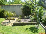 DSC00234.JPG