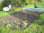 potager 2.jpg
