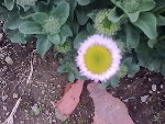 Photo0119.jpg