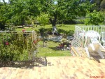 DSC00239.JPG