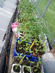 Photo 013.jpg