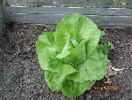 Photo 014.jpg
