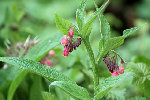 DSC_0045-web.jpg
