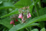 DSC_0046-web.jpg