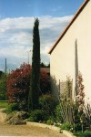 mon jardin007.jpg