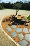 mon jardin008.jpg