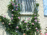 DSCN3289.JPG