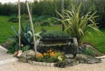 mon jardin002.jpg