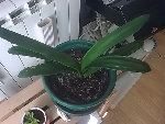 Photo0121.jpg