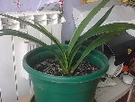 Photo0120.jpg