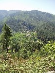 village Cévenol.jpg