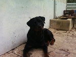 Photos-0010.jpg