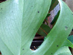 DSC00165_edited.JPG