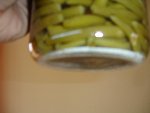 DSC02875.JPG
