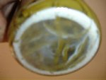 DSC02876.JPG