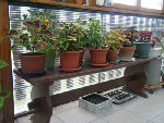 DSCF0385.jpg