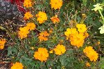 100_2229_small.JPG