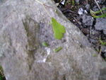 PICT1229.JPG