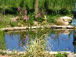 bassin 1.jpg