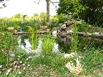 bassin 2.jpg