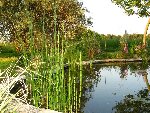 bassin 3.jpg