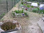 Une vue du jardin prise hier.