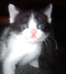 Ma frimousse!