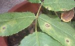 2009_0508Image0001.JPG