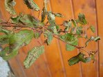 DSC02654.JPG