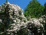 DSCN9707.jpg