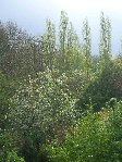 DSCN9690.jpg