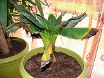DSC08123.JPG
