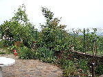 la terrasse.JPG