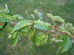 IMG_1080-2.jpg