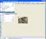 aujardintuto7.jpg
