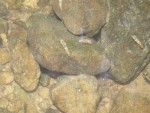 PICT0001.JPG