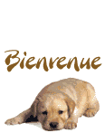 3bienvenue.gif
