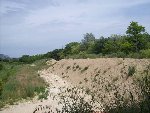 100_9162.jpg