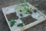 Potager 2