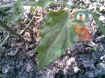 18052009(003).jpg