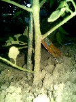 18052009(005).jpg